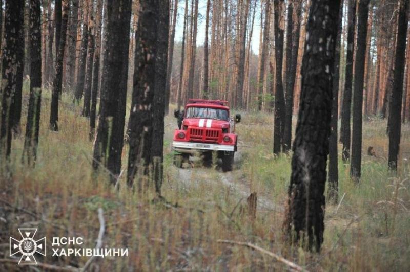 Лісові загоряння в Харківській області: вогонь охопив понад 700 гектарів території.