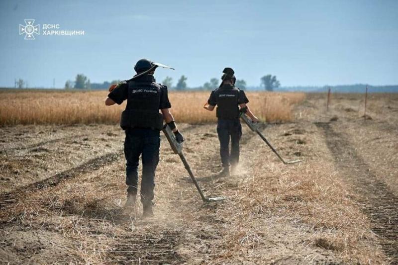 Сапери очищують ліси та поля в районі Ізюма від вибухонебезпечних предметів.