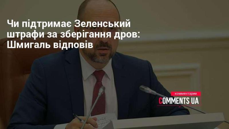 Чи підтримає Зеленський введення штрафів за зберігання дров: коментар Шмигаля.